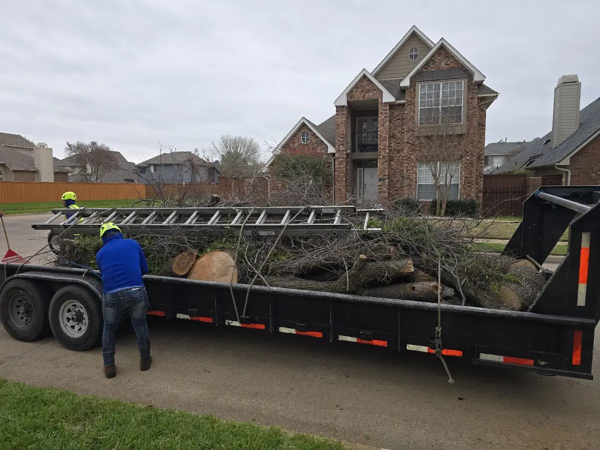 Expert Lot Clearing with proper safety equipment in Franklintown